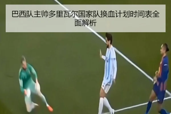 巴西队主帅多里瓦尔国家队换血计划时间表全面解析