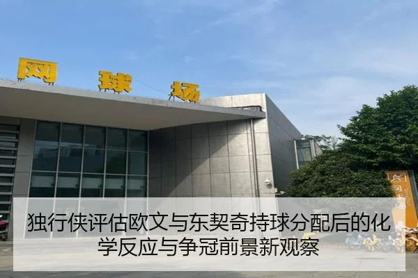 独行侠评估欧文与东契奇持球分配后的化学反应与争冠前景新观察
